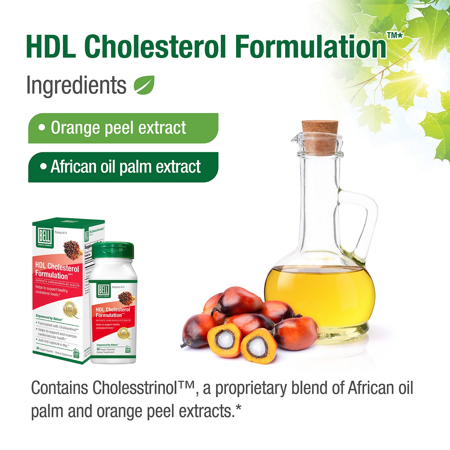 #14 HDL Cholesterol Formulation™*