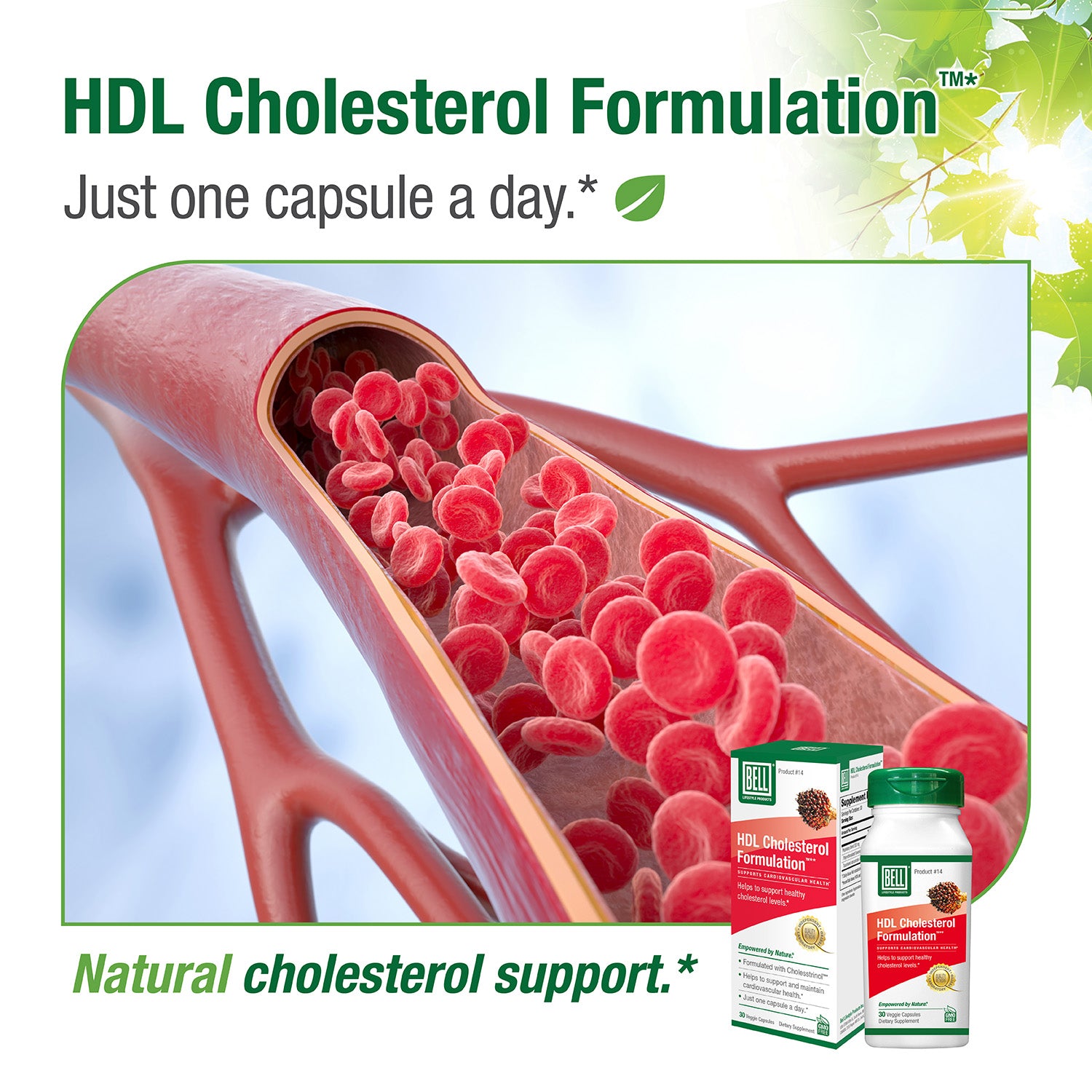 #14 HDL Cholesterol Formulation™*
