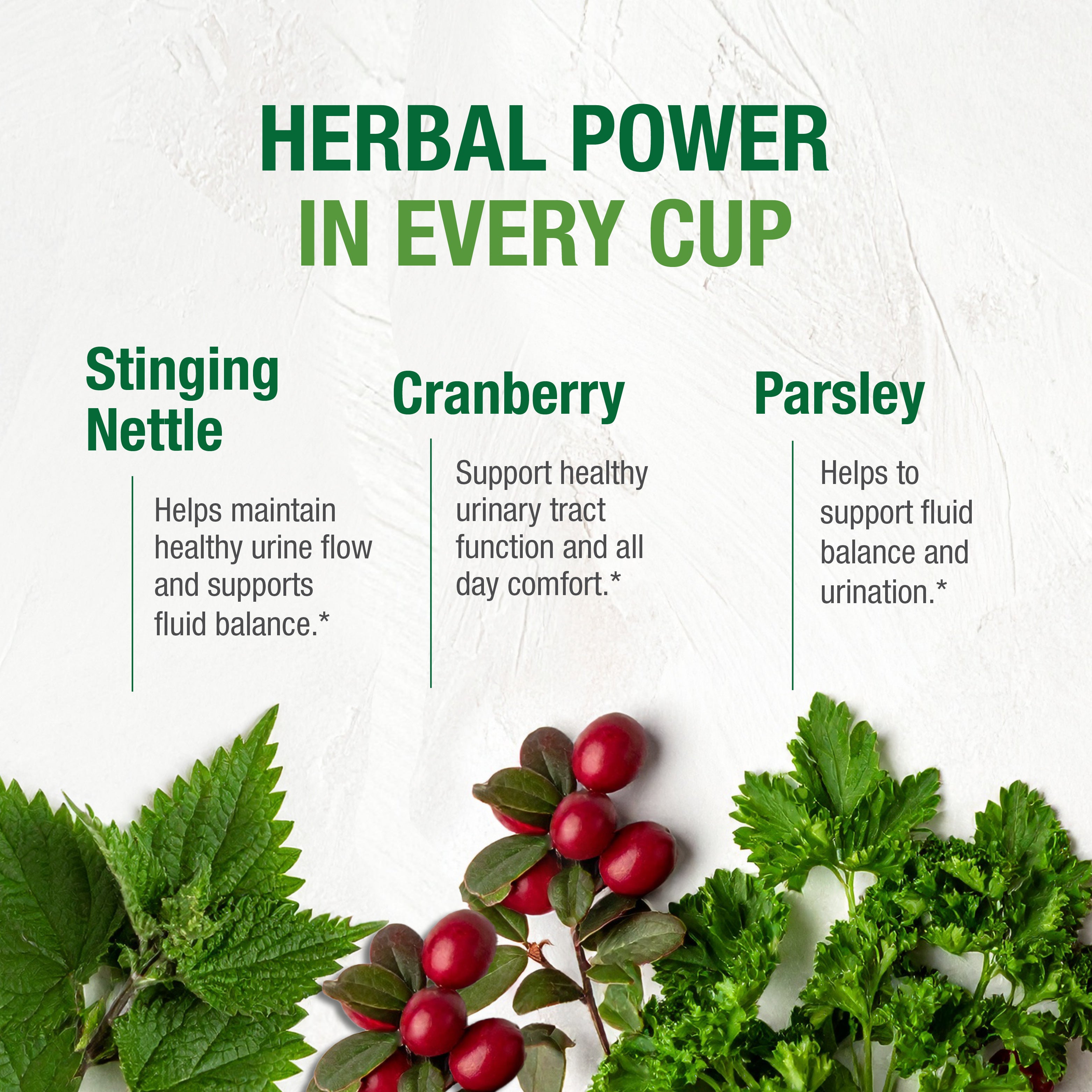 #4b Bladder Control Tea for Women™*