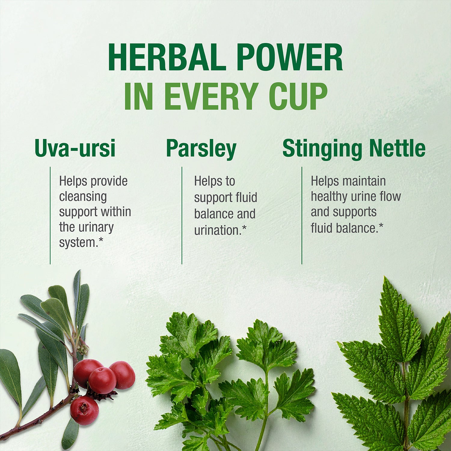 Té para limpieza y función renal n.° 76™*