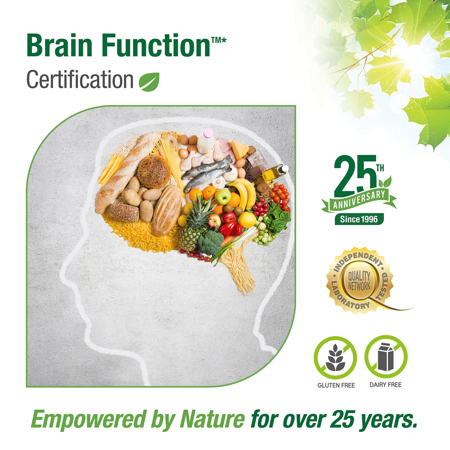 #36 Brain Function™*