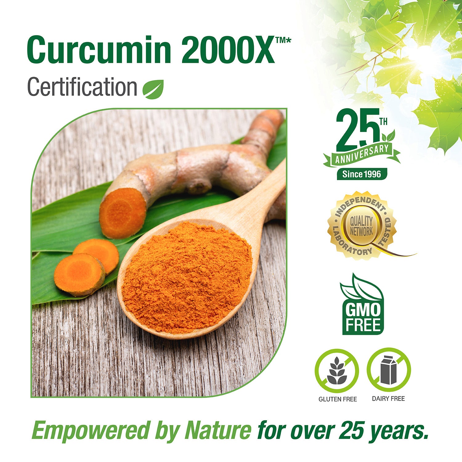 #67 Curcumin 2000X™