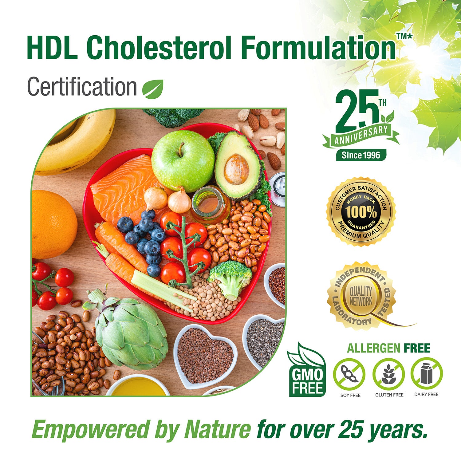 #14 HDL Cholesterol Formulation™*