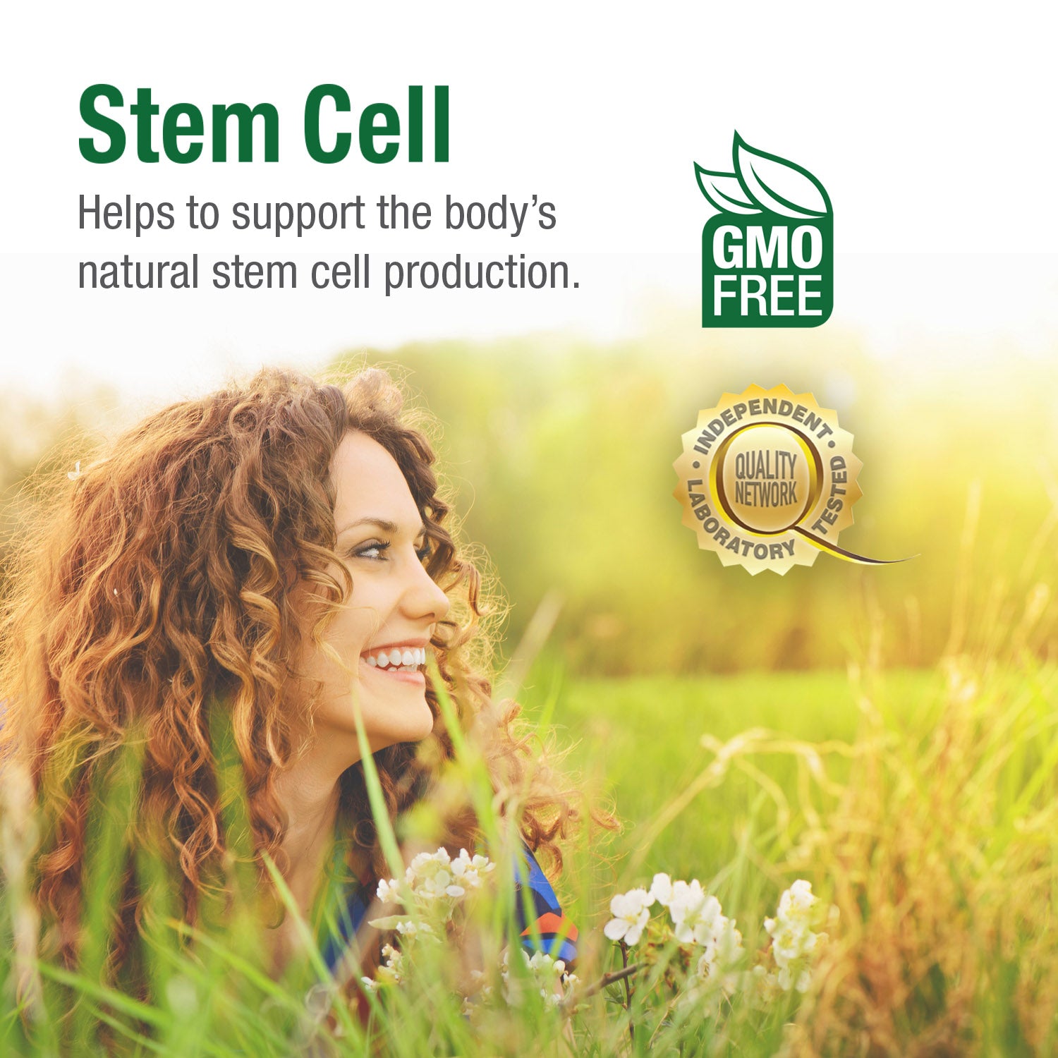 #63 Stem Cell