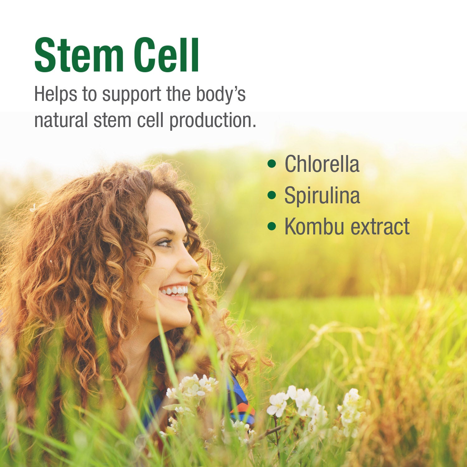 #63 Stem Cell