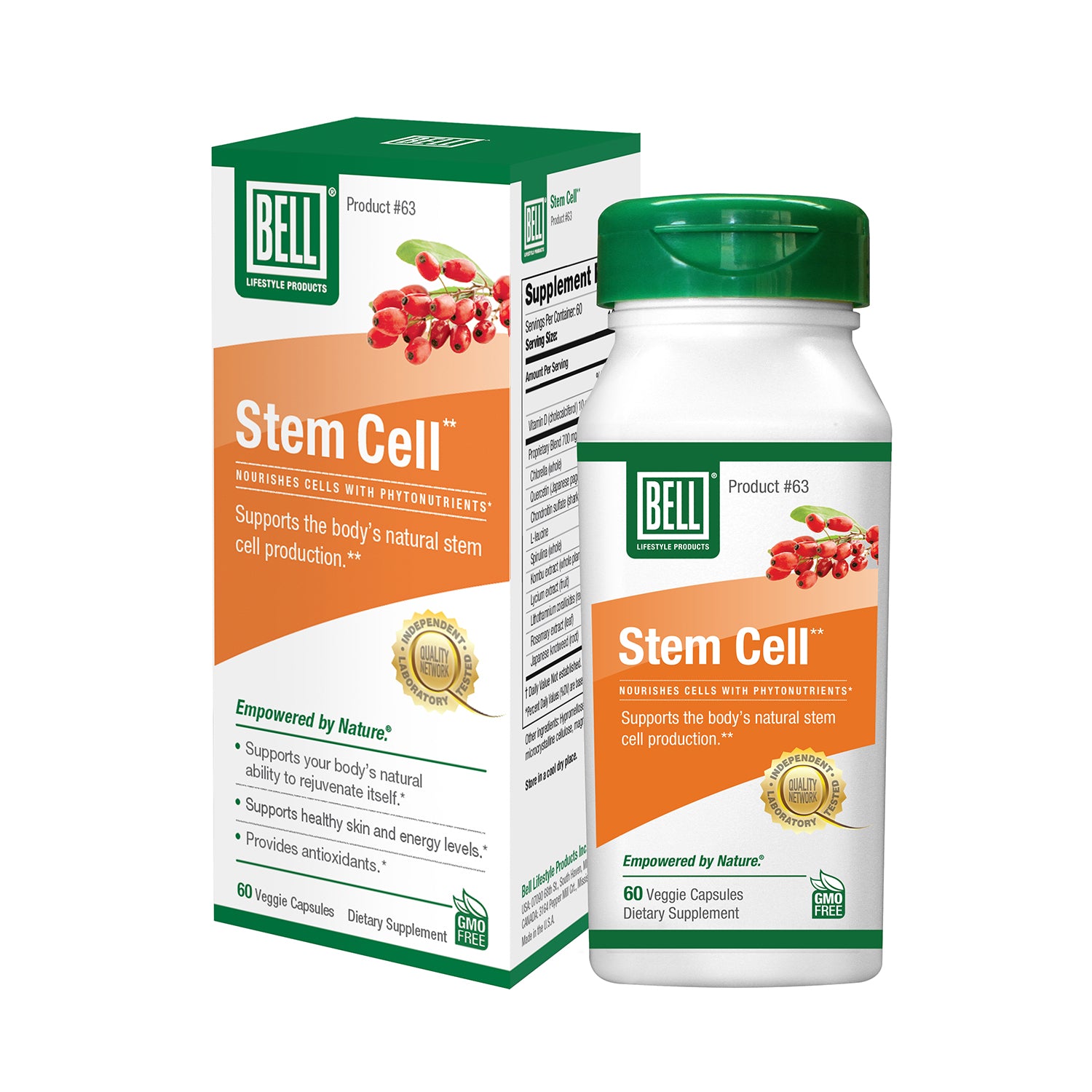 #63 Stem Cell