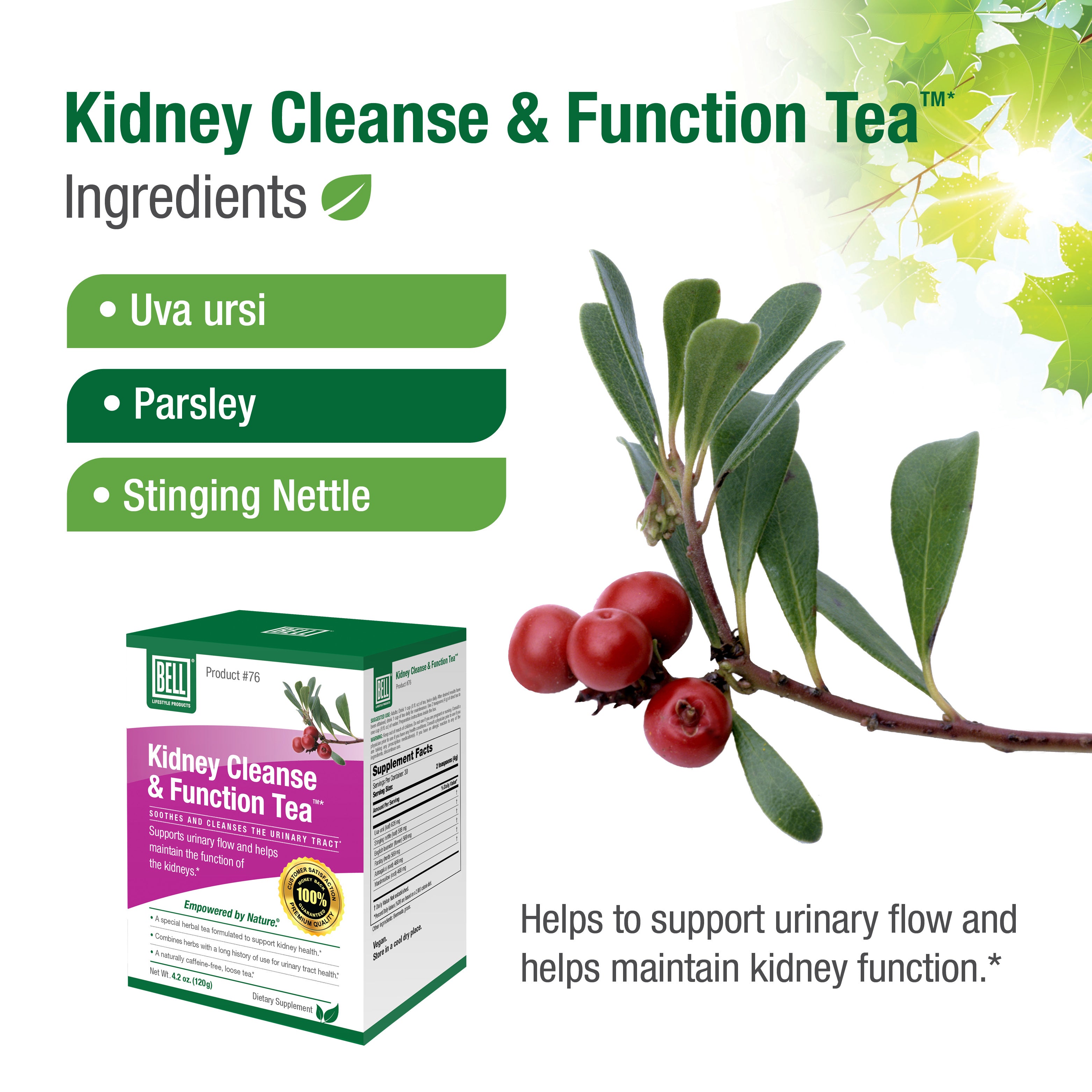 Té para limpieza y función renal n.° 76™*